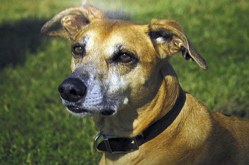 George - Alan Turner.jpg